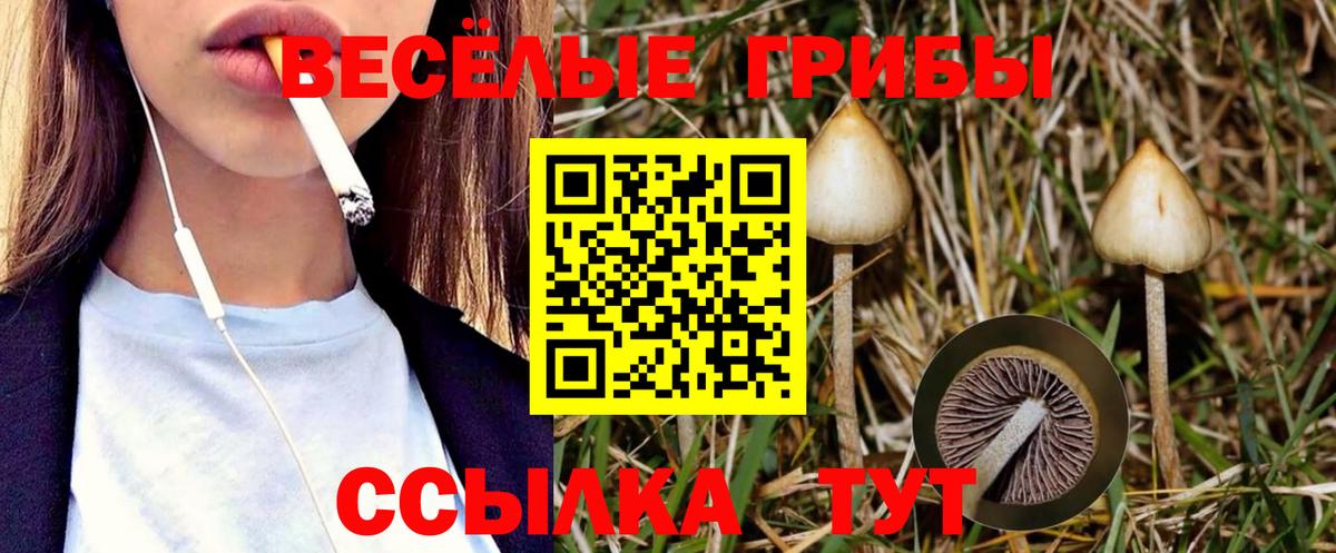 Керчь  Псилоцибиновые грибы MAGIC MUSHROOMS  дарнет шоп  Вход с VPN 